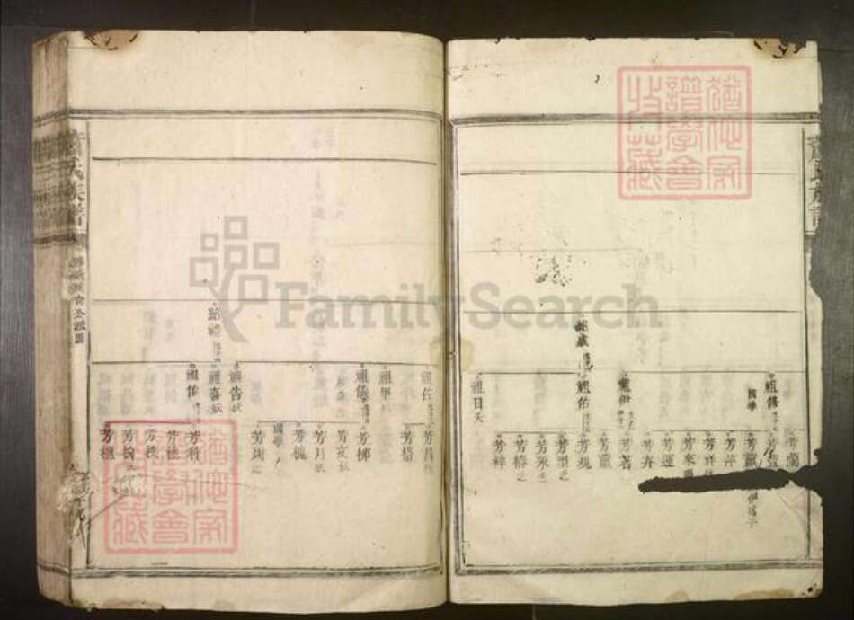 湖南省郴州市宜章县萧氏族谱-萧氏族谱.pdf电子版预览图3