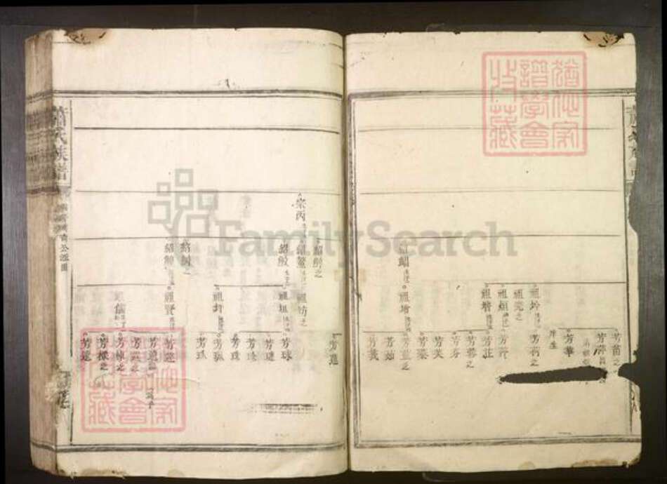 湖南省郴州市宜章县萧氏族谱-萧氏族谱.pdf电子版预览图5