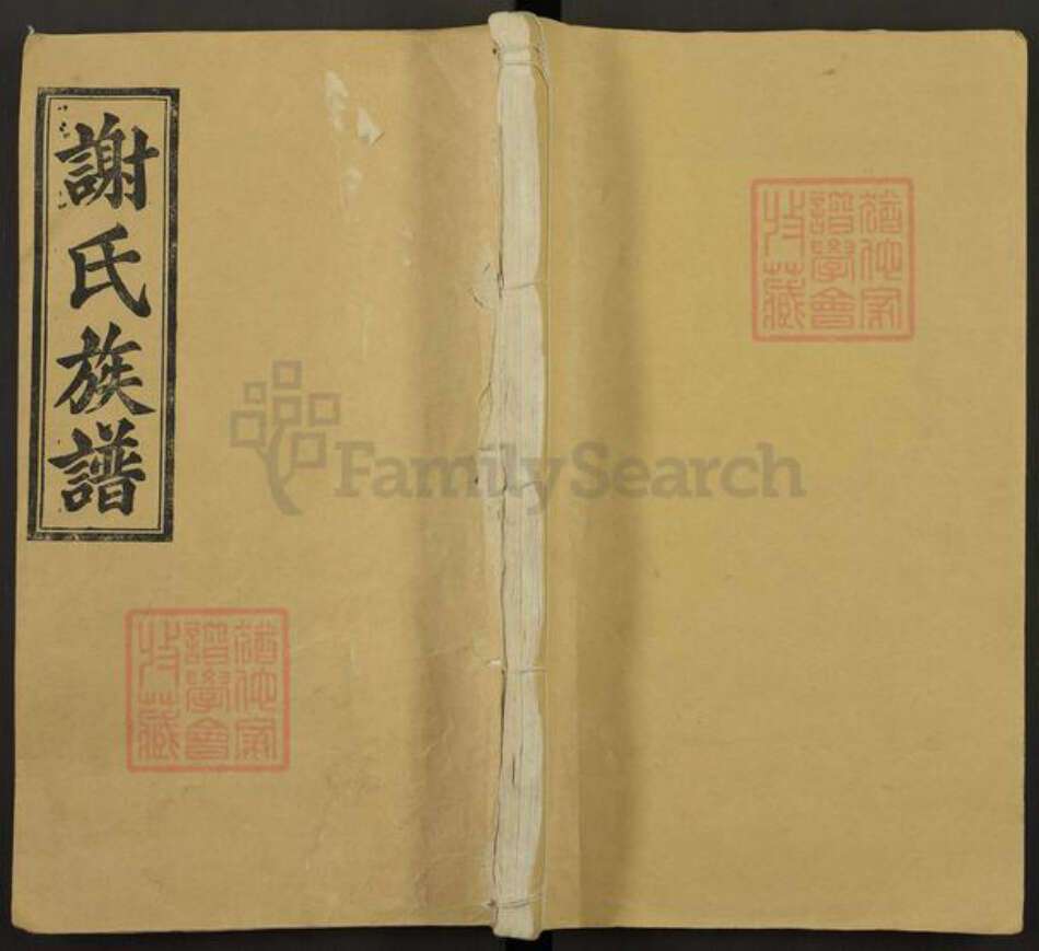 安徽省安庆市潜山市谢氏宝树堂族谱-谢氏族谱.pdf电子版缩略图