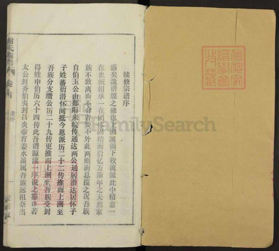 安徽省安庆市潜山市谢氏宝树堂族谱-谢氏族谱.pdf电子版预览图1