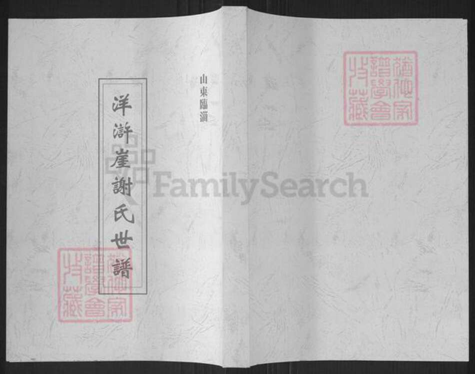 山东省淄博市临淄区谢氏族谱-洋浒崖谢氏世谱.pdf电子版缩略图