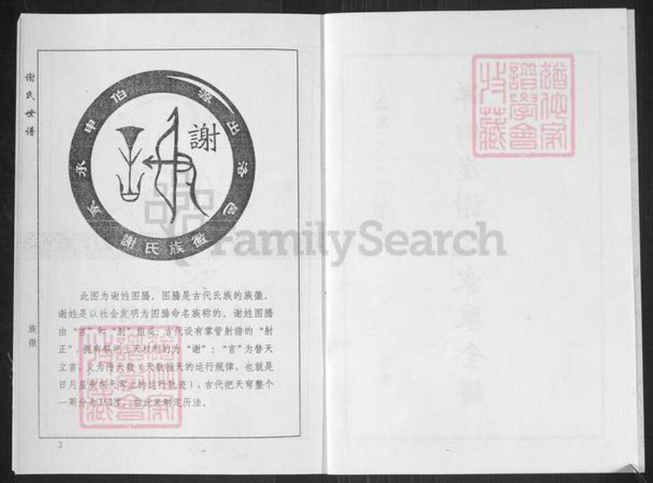 山东省淄博市临淄区谢氏族谱-洋浒崖谢氏世谱.pdf电子版预览图2