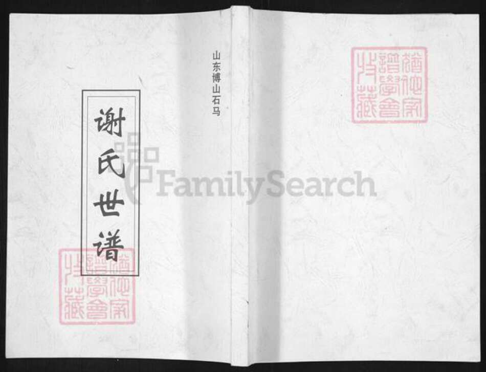 山东省淄博市博山区谢氏族谱-谢氏世谱.pdf电子版缩略图