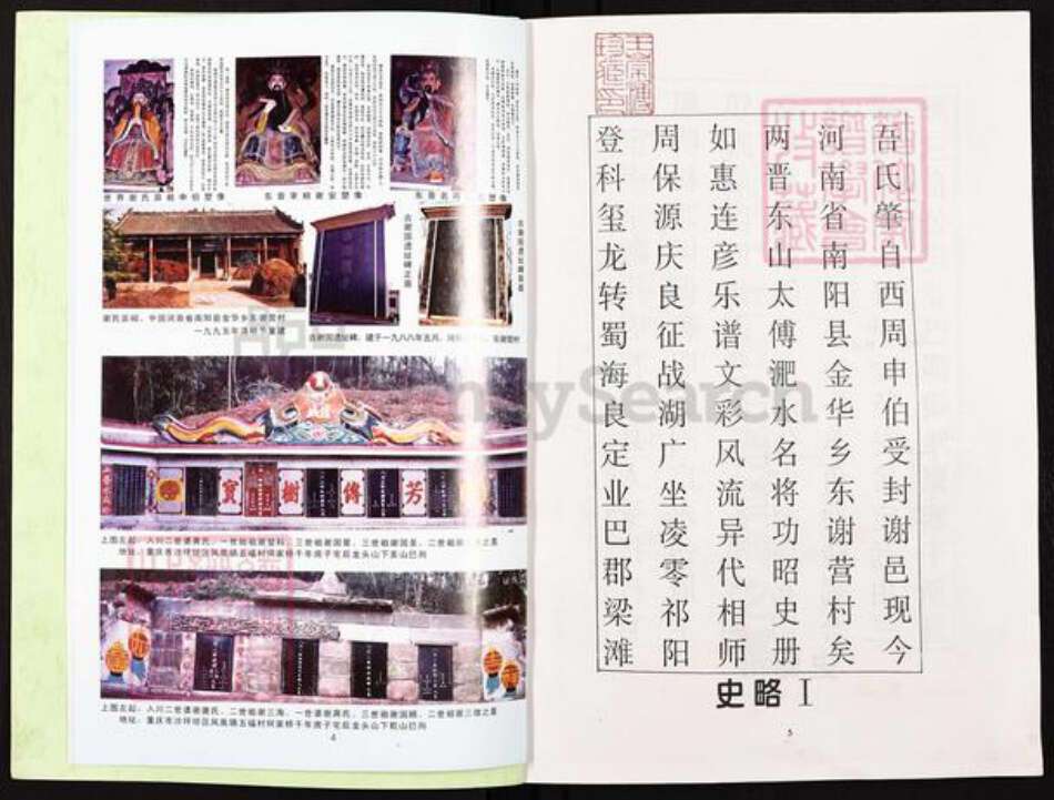 重庆市合川区谢氏宝树堂族谱-宝树堂谢氏宗谱族词.pdf电子版预览图3