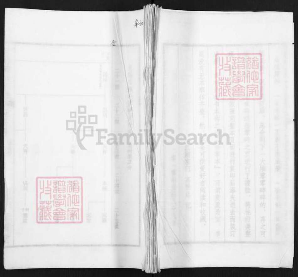 江苏省无锡市锡山区谢氏宝树堂族谱-青阳谢氏宗谱.新庄支谱.pdf电子版缩略图