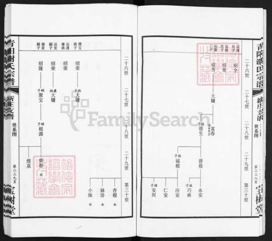 江苏省无锡市锡山区谢氏宝树堂族谱-青阳谢氏宗谱.新庄支谱.pdf电子版预览图3