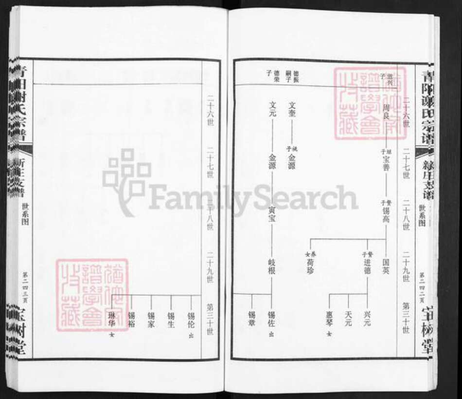 江苏省无锡市锡山区谢氏宝树堂族谱-青阳谢氏宗谱.新庄支谱.pdf电子版预览图5