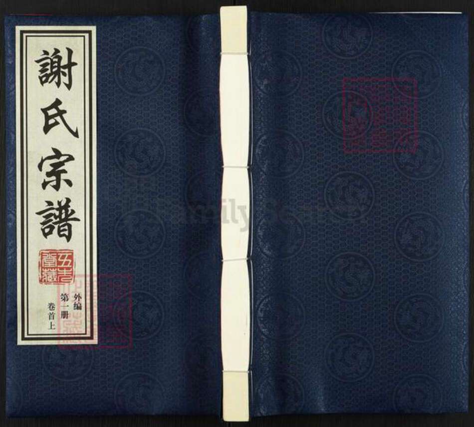 江苏省常州市武进县谢氏五先堂族谱-谢氏宗谱.pdf电子版缩略图