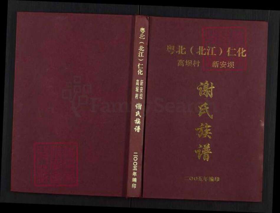 广东省韶关市仁化县谢氏宝树堂族谱-粤北(北江)仁化高坝村新安坝.谢氏族谱.pdf电子版缩略图