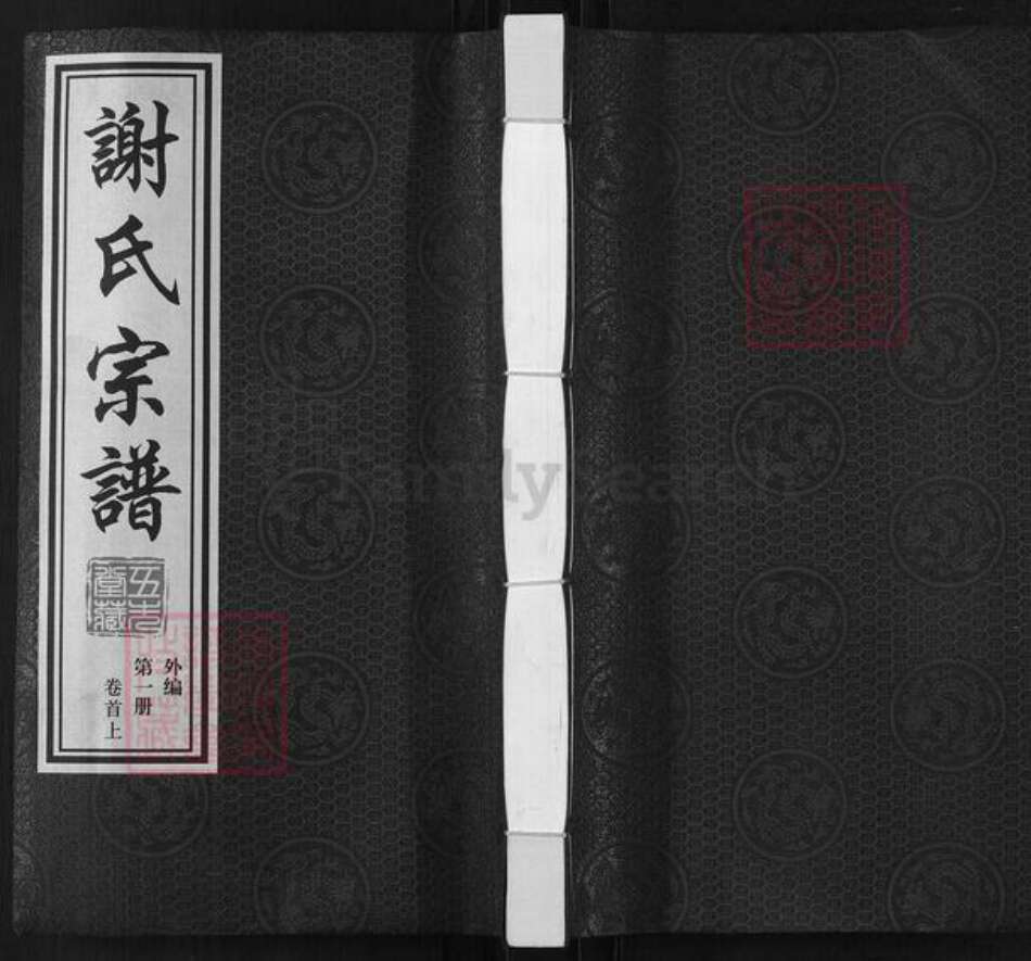 江苏省常州市武进县谢氏五先堂族谱-谢氏宗谱.pdf电子版缩略图