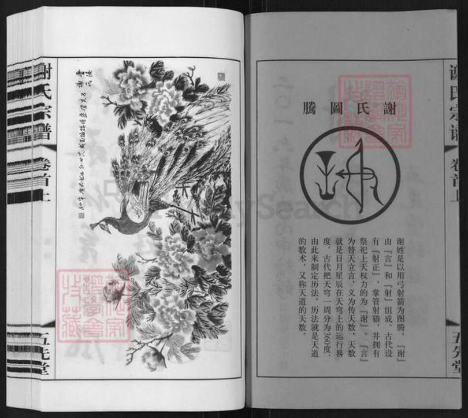 江苏省常州市武进县谢氏五先堂族谱-谢氏宗谱.pdf电子版预览图2