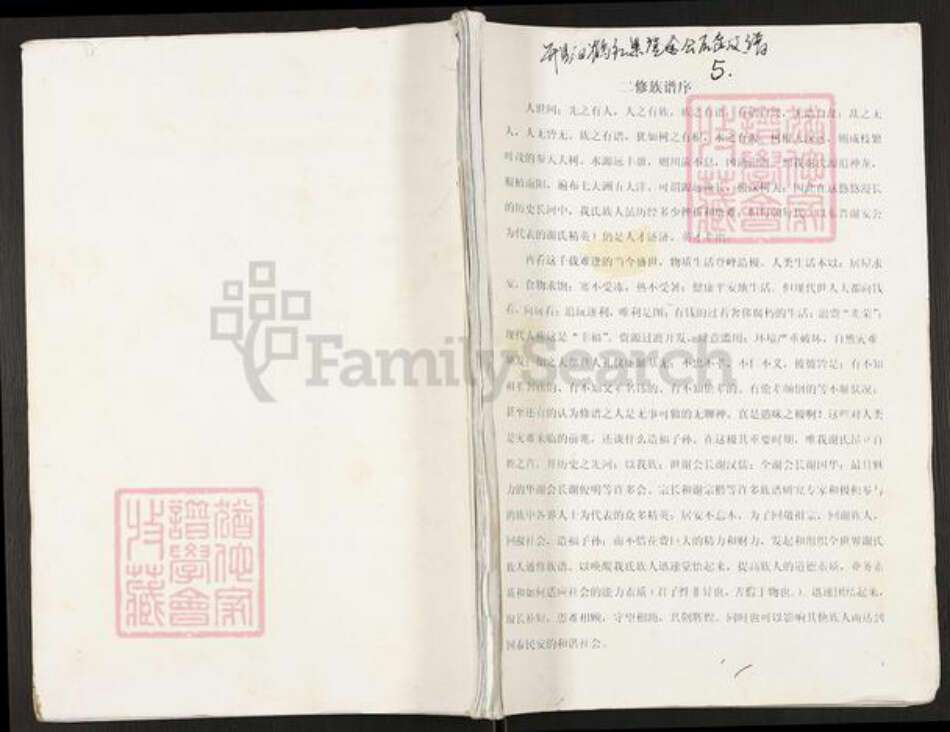 重庆市开州区谢氏宝树堂族谱-开县白鹤红果登金公后裔支谱.pdf电子版缩略图