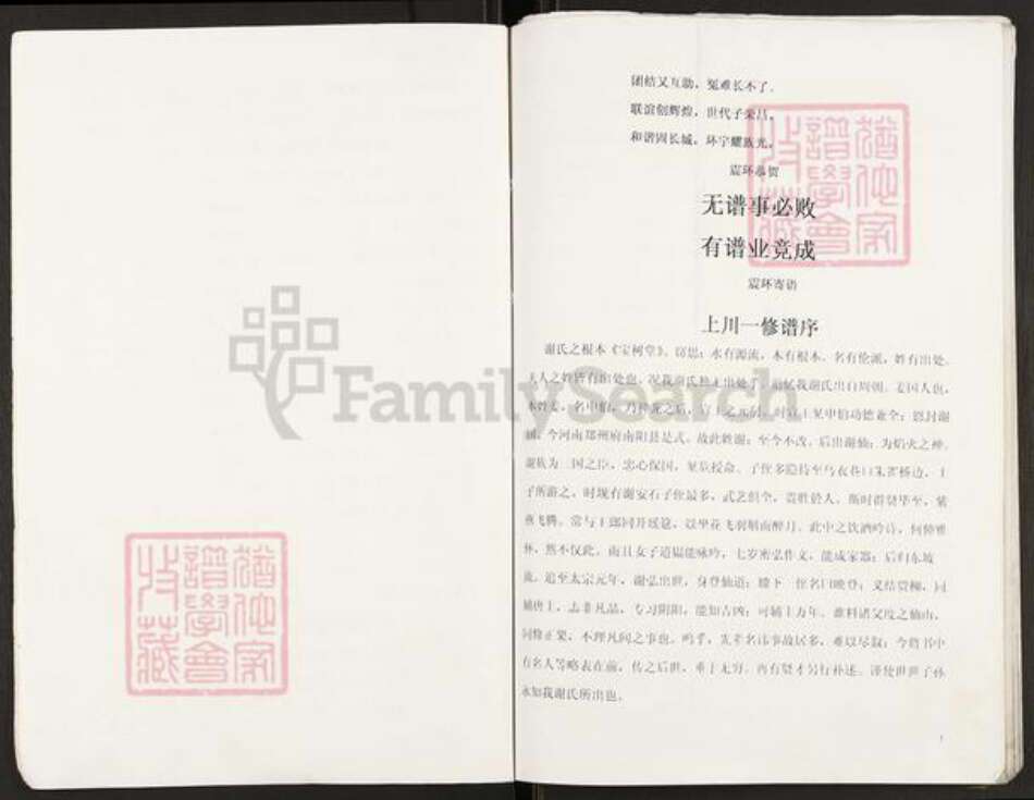 重庆市开州区谢氏宝树堂族谱-开县白鹤红果登金公后裔支谱.pdf电子版预览图2