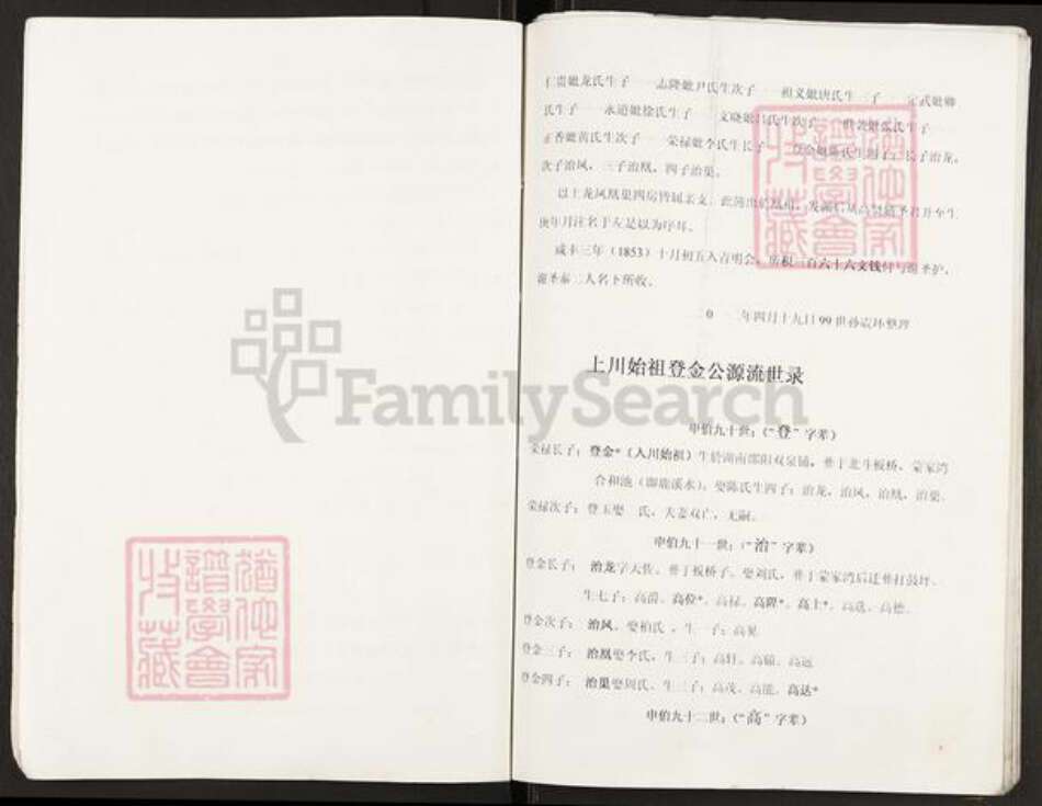 重庆市开州区谢氏宝树堂族谱-开县白鹤红果登金公后裔支谱.pdf电子版预览图4