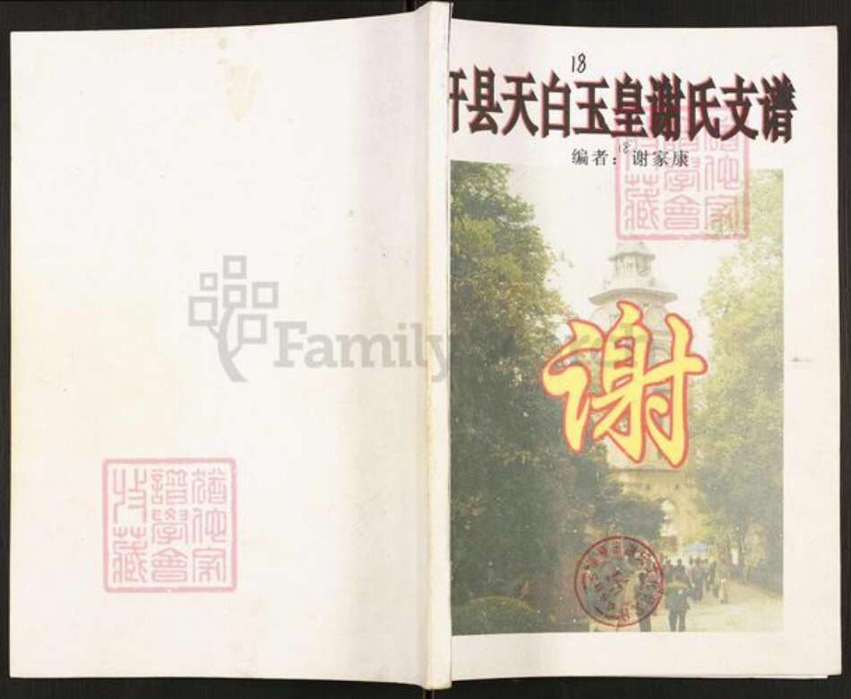 重庆市开州区谢氏宝树堂族谱-开县天白玉皇谢氏支谱.pdf电子版缩略图