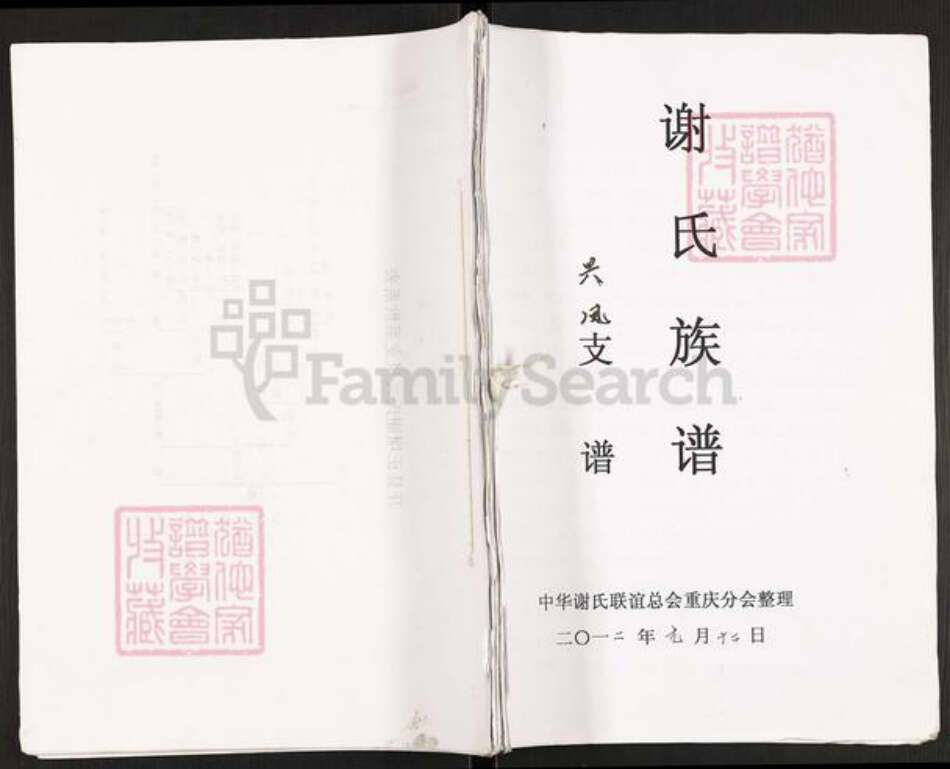 重庆市开州区谢氏族谱-谢氏族谱.pdf电子版缩略图