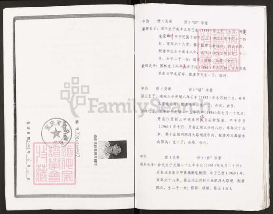 重庆市开州区谢氏族谱-谢氏族谱.pdf电子版预览图4