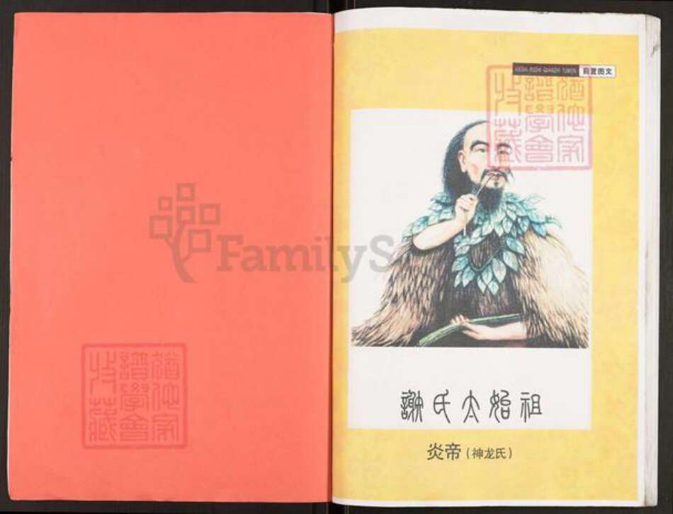 重庆市万州开县温泉镇谢氏宝树堂族谱-开县坪梁.江东文惠支谱.pdf电子版预览图2