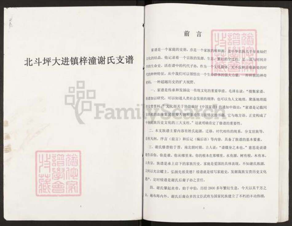 重庆市开州区谢氏宝树堂族谱-北斗坪大进镇梓潼谢氏支谱.pdf电子版预览图1