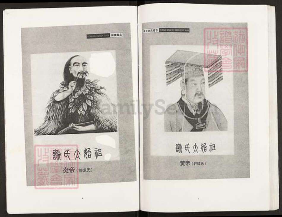 重庆市开州区谢氏宝树堂族谱-北斗坪大进镇梓潼谢氏支谱.pdf电子版预览图3