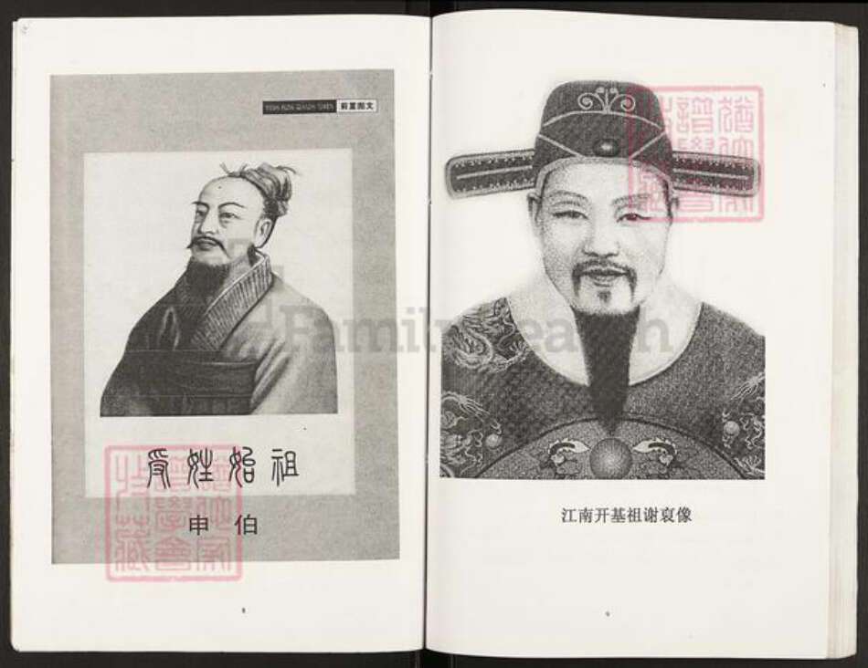 重庆市开州区谢氏宝树堂族谱-北斗坪大进镇梓潼谢氏支谱.pdf电子版预览图4