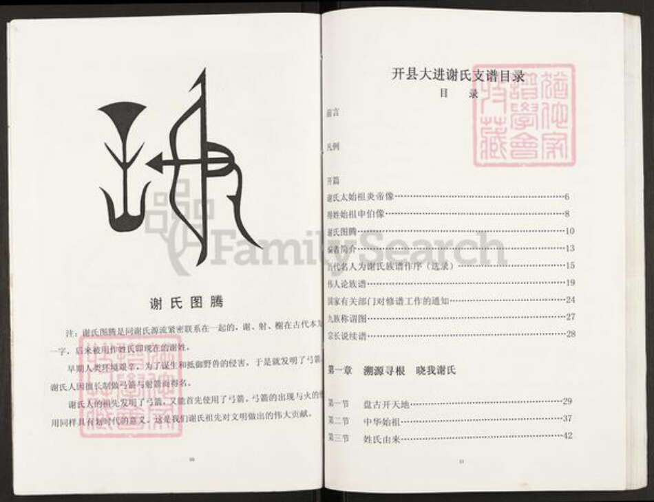 重庆市开州区谢氏宝树堂族谱-北斗坪大进镇梓潼谢氏支谱.pdf电子版预览图5