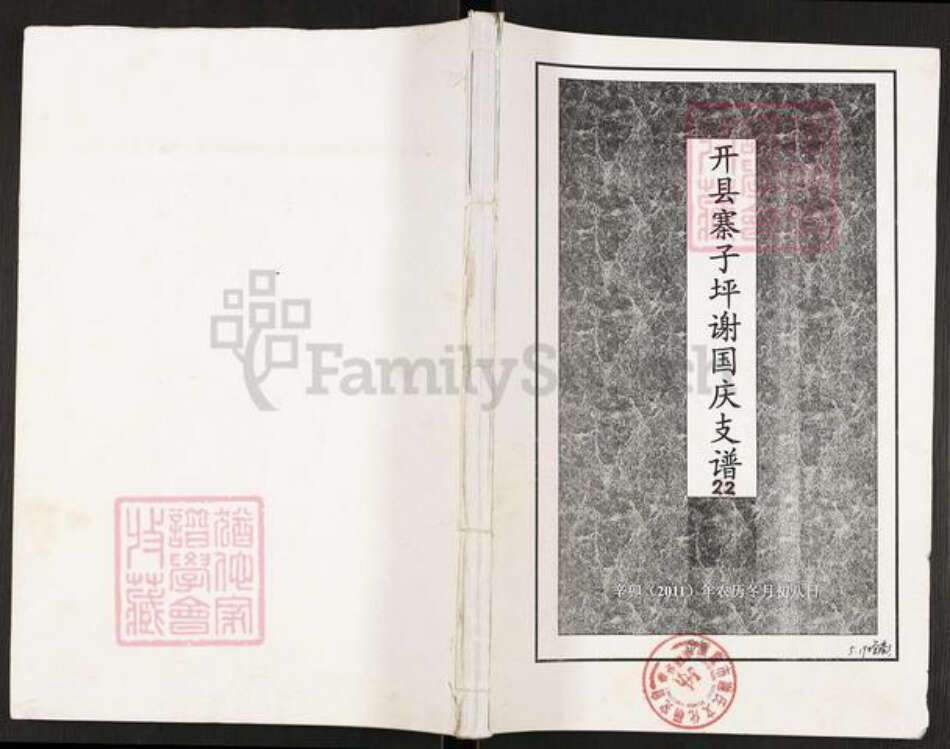 重庆市开州区谢氏宝树堂族谱-开县寨子坪谢国庆支谱.pdf电子版缩略图