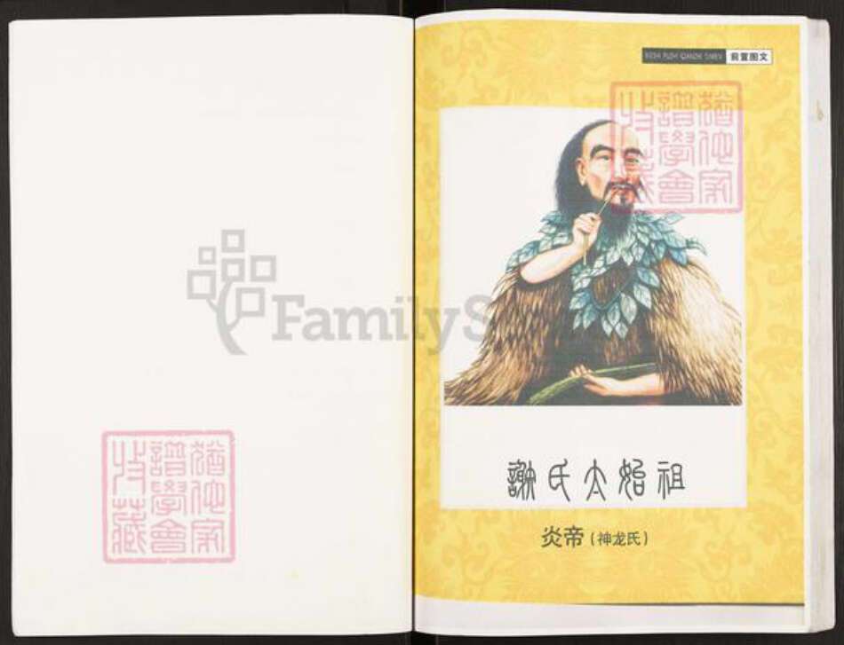 重庆市开州区谢氏宝树堂族谱-开县寨子坪谢国庆支谱.pdf电子版预览图3