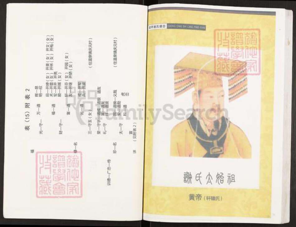 重庆市开州区谢氏宝树堂族谱-开县寨子坪谢国庆支谱.pdf电子版预览图4