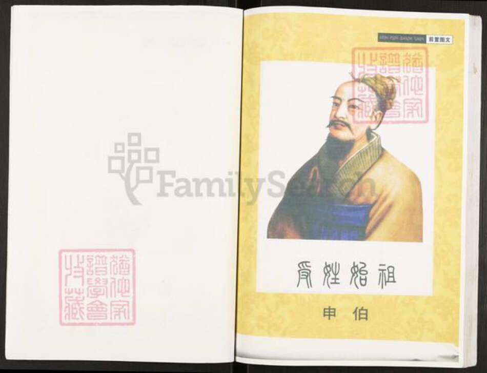 重庆市开州区谢氏宝树堂族谱-开县寨子坪谢国庆支谱.pdf电子版预览图5