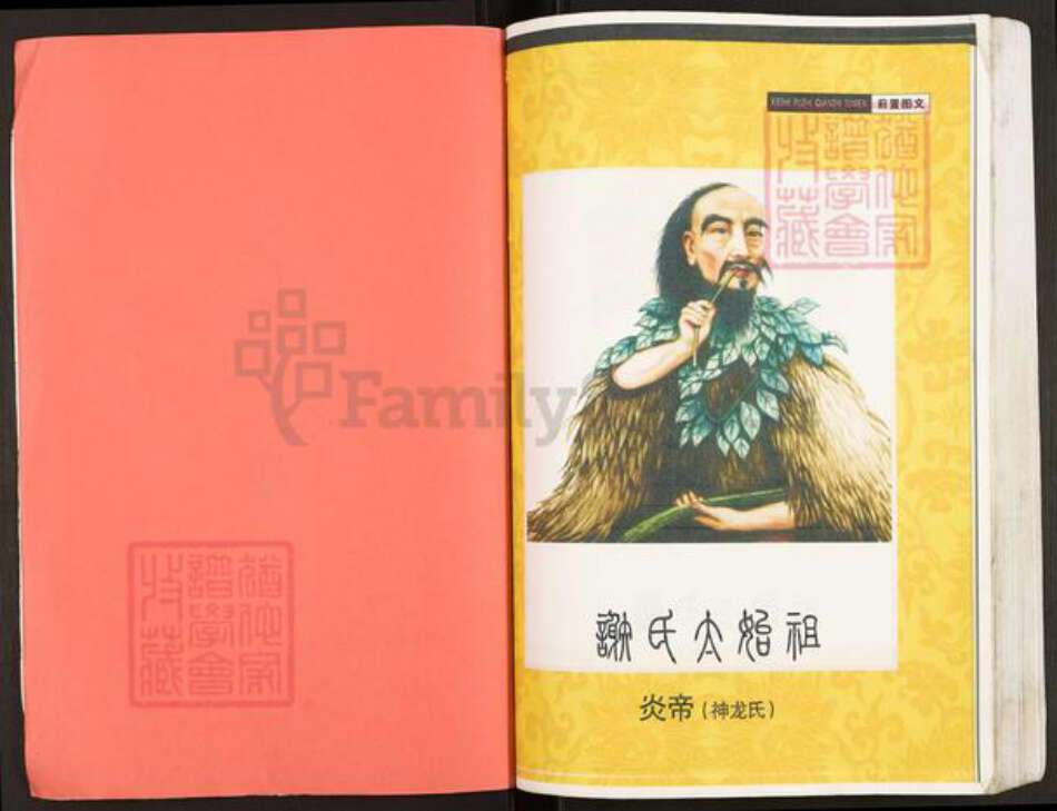 重庆市开州区谢氏宝树堂族谱-开县鸡公山谢维恕支谱.pdf电子版预览图2