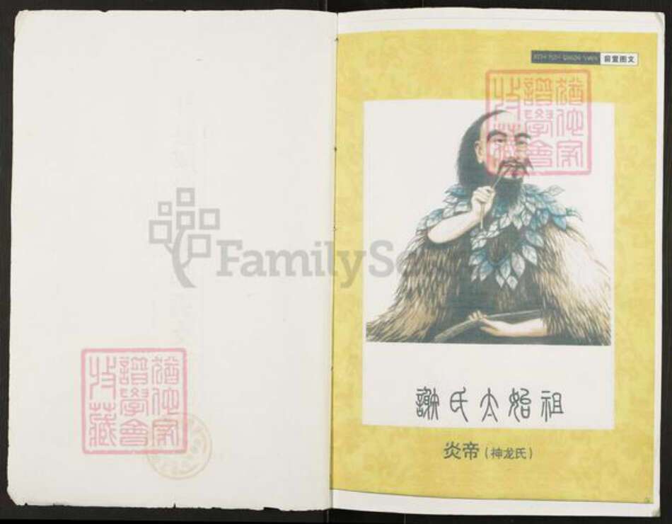 重庆市万州开县谢氏宝树堂族谱-开县座堂岭谢师夷支谱.pdf电子版预览图1