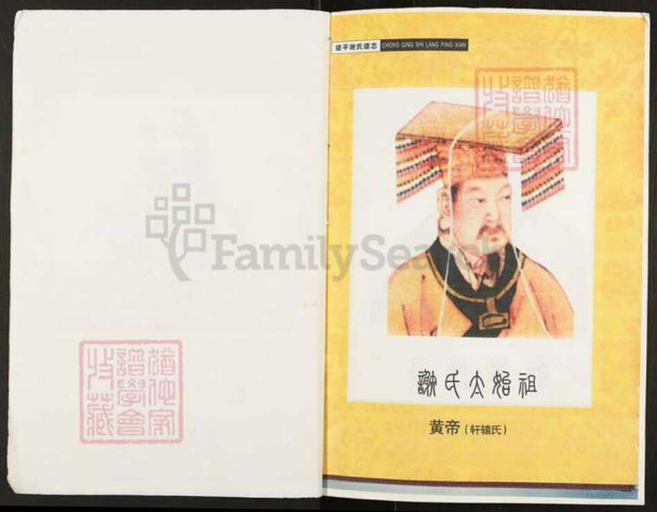 重庆市万州开县谢氏宝树堂族谱-开县座堂岭谢师夷支谱.pdf电子版预览图2