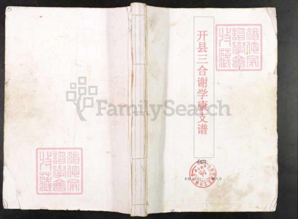 重庆市开州区谢氏宝树堂族谱-开县三合谢学康支谱.pdf电子版缩略图