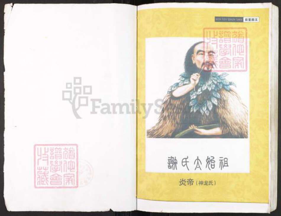 重庆市开州区谢氏宝树堂族谱-开县三合谢学康支谱.pdf电子版预览图1