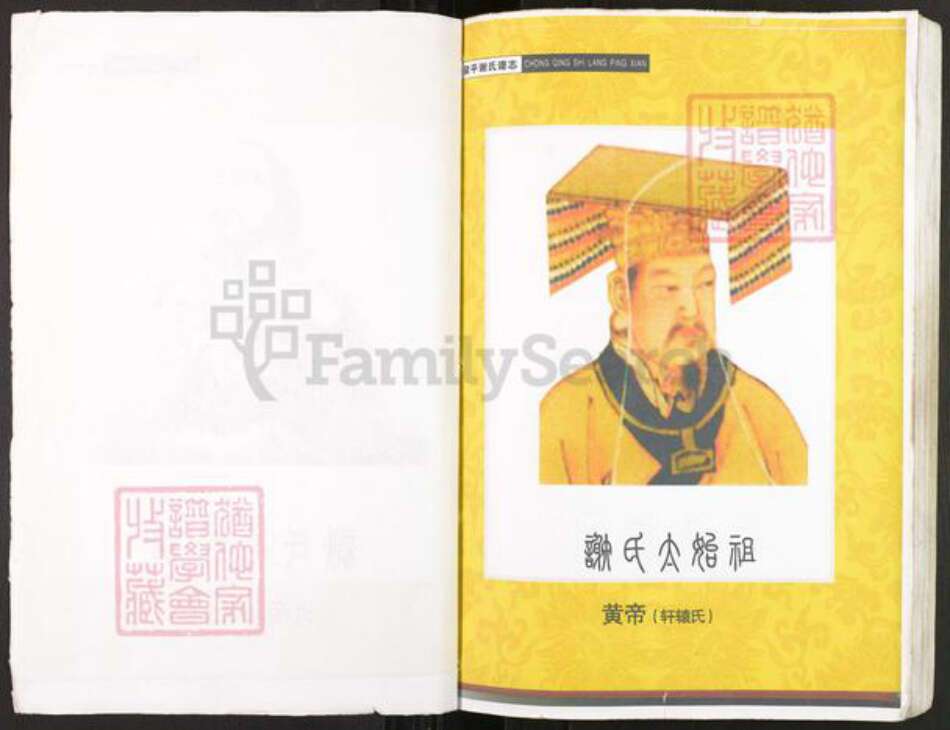 重庆市开州区谢氏宝树堂族谱-开县三合谢学康支谱.pdf电子版预览图2