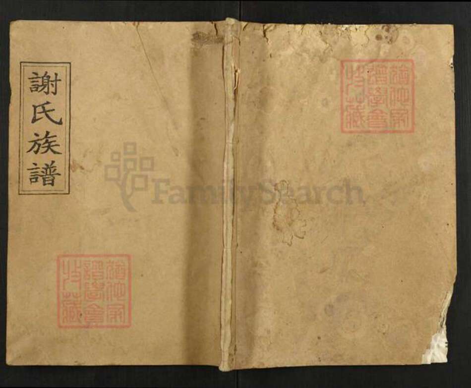 湖南省长沙市宁乡市谢氏宝树堂族谱-谢氏族谱.pdf电子版缩略图