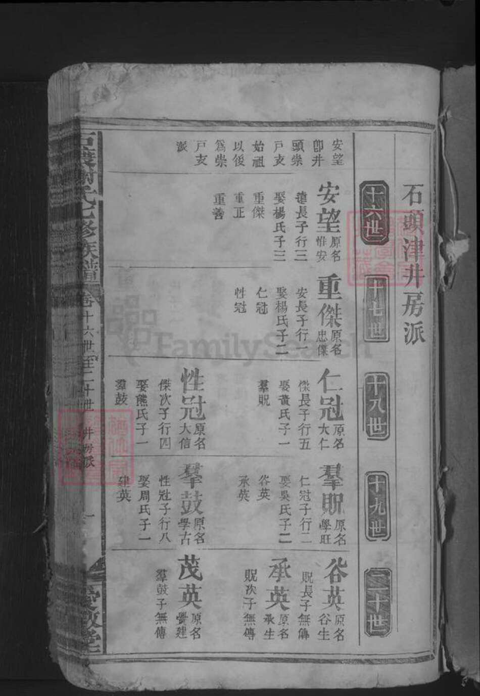 江西省吉安市谢氏族谱-石渡谢氏七修族谱 [不分卷].pdf电子版预览图3