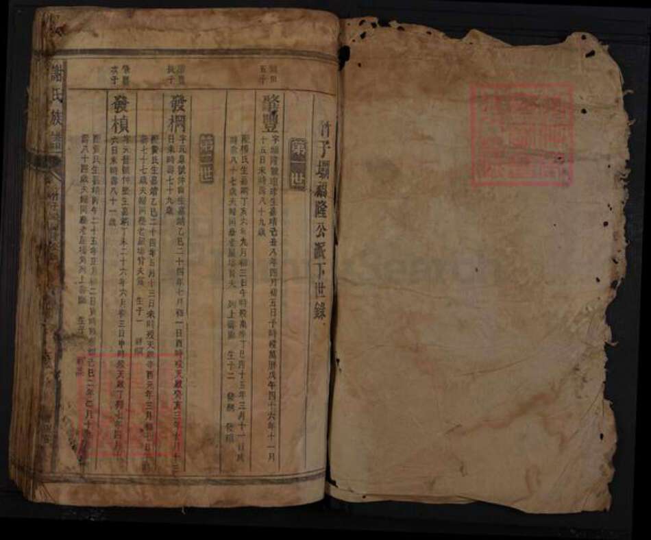 湖南省郴州市桂阳县谢氏宝树堂族谱-谢氏族谱.pdf电子版预览图1