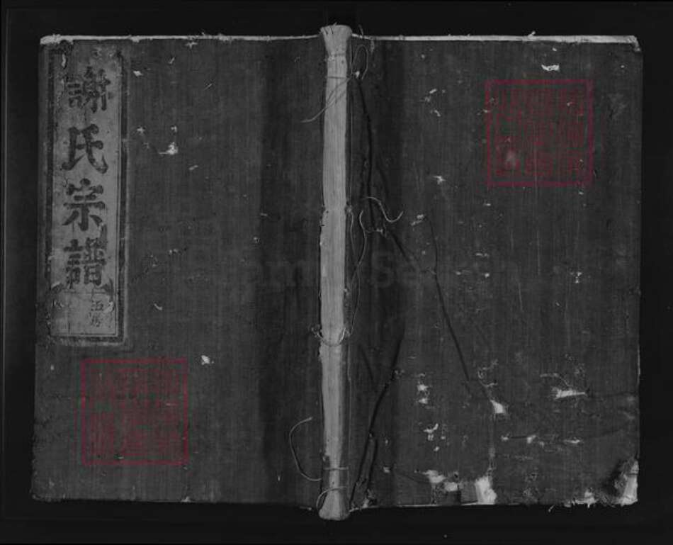 浙江省丽水市松阳县古市镇谢氏族谱-陈留谢氏宗谱.pdf电子版缩略图