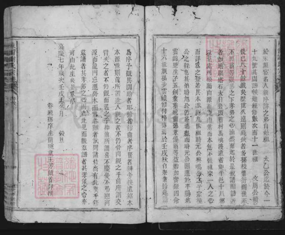 浙江省丽水市松阳县古市镇谢氏族谱-陈留谢氏宗谱.pdf电子版预览图5