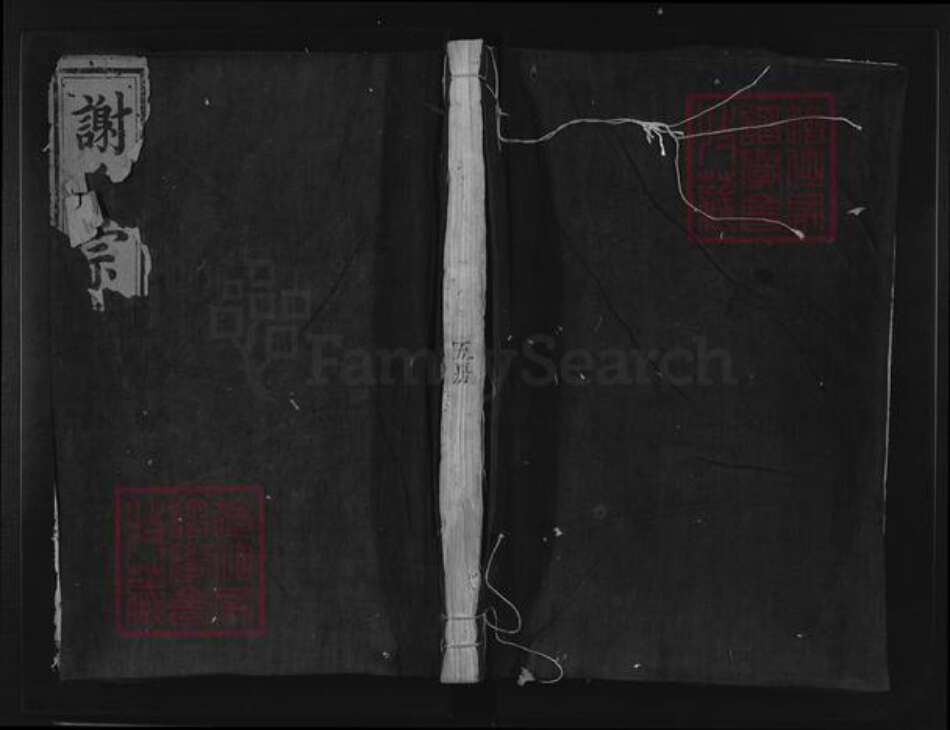 浙江省丽水市松阳县谢氏族谱-陈留谢氏宗谱.pdf电子版缩略图