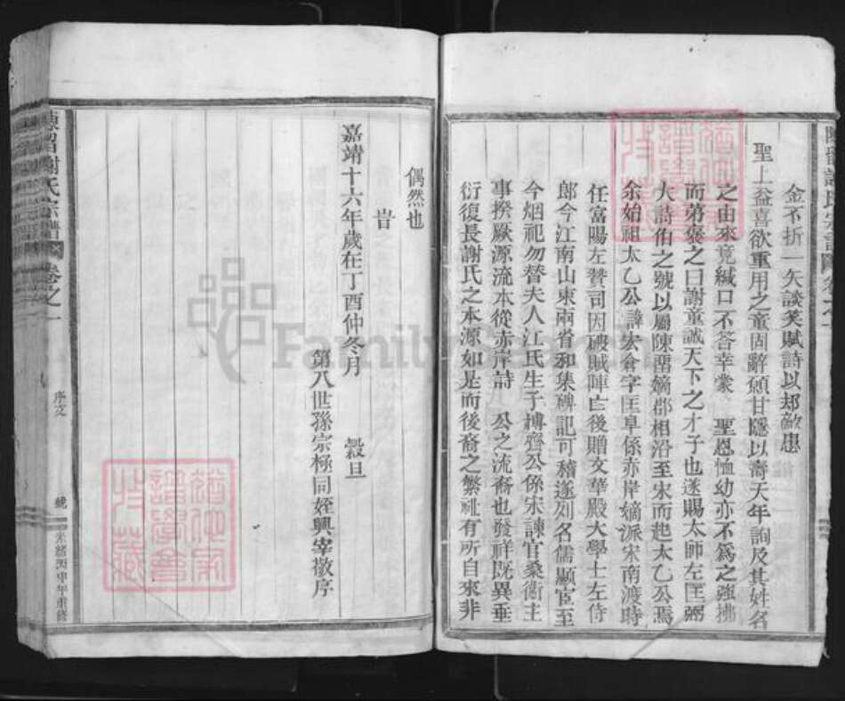 浙江省丽水市松阳县谢氏族谱-陈留谢氏宗谱.pdf电子版预览图5