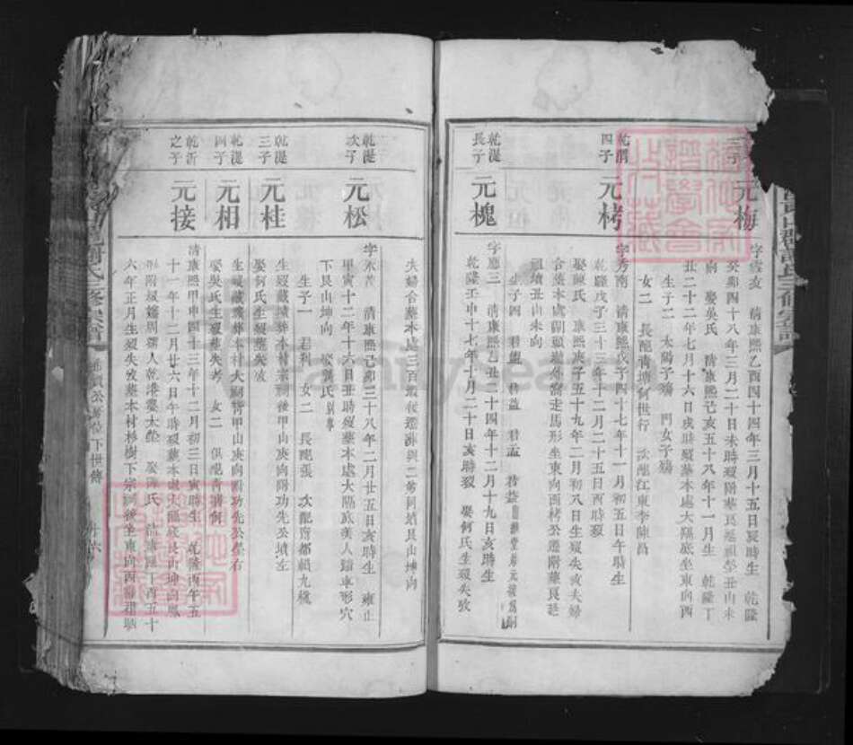 江西省赣州市于都县谢氏族谱-雩都谢溪东山郡谢氏三修族谱.pdf电子版预览图5