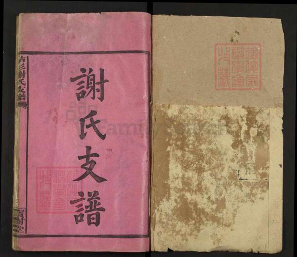 福建省三明市宁化县谢氏宝树堂族谱-枯杉谢氏支谱.pdf电子版预览图1