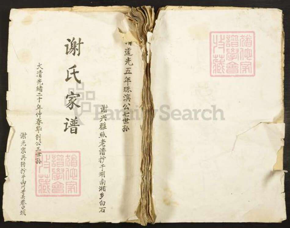 湖南省邵阳市谢氏族谱-谢氏家谱.pdf电子版缩略图