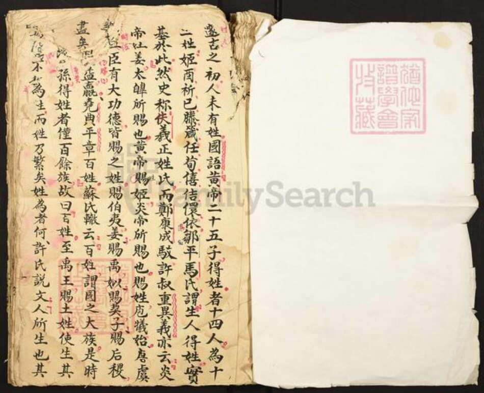 湖南省邵阳市谢氏族谱-谢氏家谱.pdf电子版预览图1