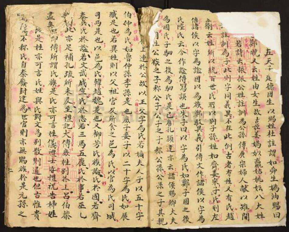 湖南省邵阳市谢氏族谱-谢氏家谱.pdf电子版预览图2