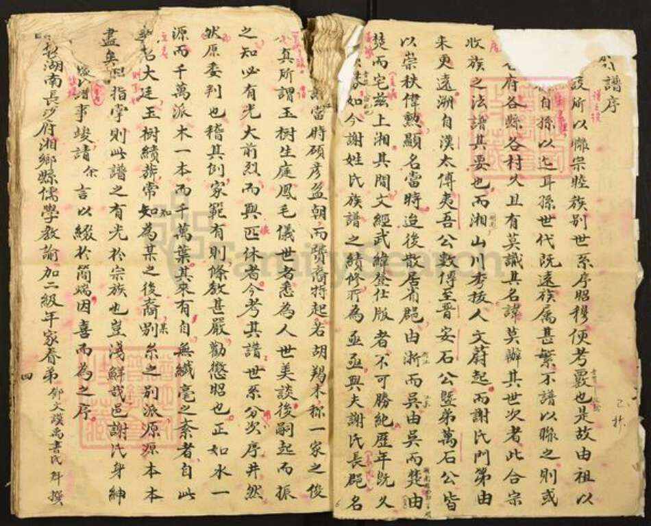 湖南省邵阳市谢氏族谱-谢氏家谱.pdf电子版预览图4