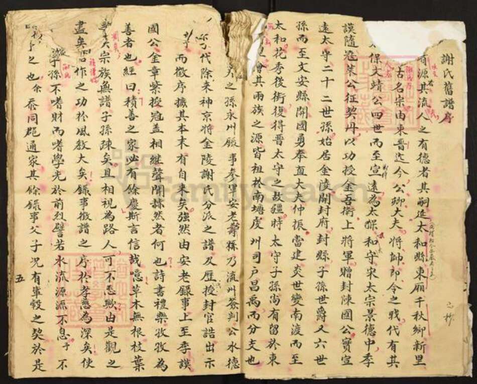 湖南省邵阳市谢氏族谱-谢氏家谱.pdf电子版预览图5